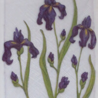 "Iris" (detail)