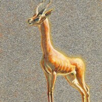 Wes Siegrist, Gerenuk, Copyright © 2014