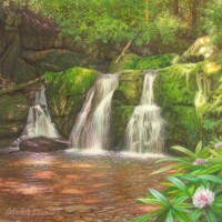 Rachelle Siegrist, Ladder Back Falls, Copyright © 2014