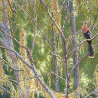 Wes Siegrist, Sitting In A Spanish Cathedral, Copyright © 2014