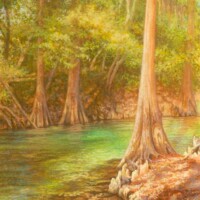 Rachelle Siegrist, Sun On The Suwannee, Copyright © 2016