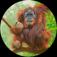 Wes Siegrist, The Old Man of Borneo, Copyright © 2009