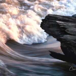 "Driftwood" by Connie Stephens, photography, 2020, $175