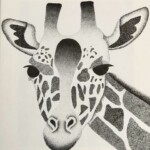 African Beauty by Brooklyn Stiefel, pen & ink, 2020, NFS, Unity High School