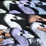 Crane Textures by Alexis Ince, scratch board collage, 2020, NFS, Logan Private Studio