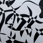 Fish by Macy Hamlin, contrast paper, 9th grade, Highland High School, 2020, NFS