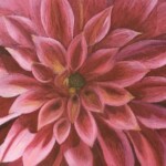 Petals by Elaina Dyke, oil pastel, 2020, NFS, Hannibal High School