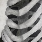 Ribcage by Colbu Wort, pencil, charcoal & ink, 10th grade, Brown County High School