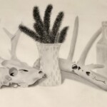 Still Life by Brooklyn Stiefel, charcoal, 11th grade, Unity High School, 2019, NFS