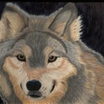 Wolf by Hannah Snyder, colored pencil, 12th grade, Logan Private Studio, 2020, NFS