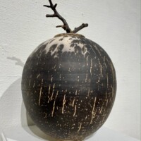 Merit Award, Steve Ryan, Lidded Jar, obvara, 2022, $300